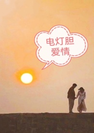 电灯胆邓丽欣dj完整版